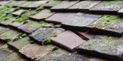 Spaldwick roof repair costs